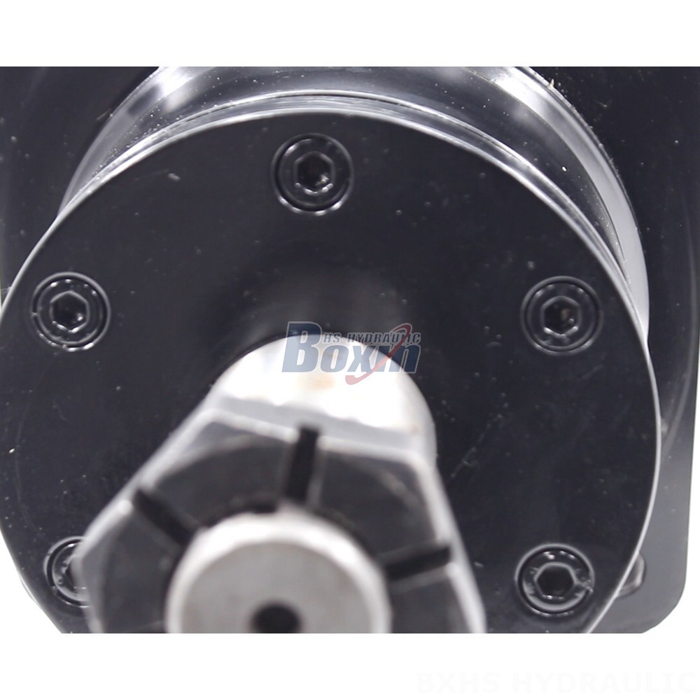 BM6W Cycloid Hydraulic Motor OEM/ODM: 310 cc/r, 150 Lpm - Customized Solutions detail image